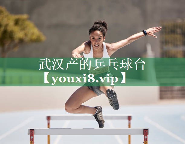武汉产的乒乓球台